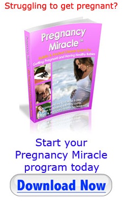 Pregnancy Miracle Book